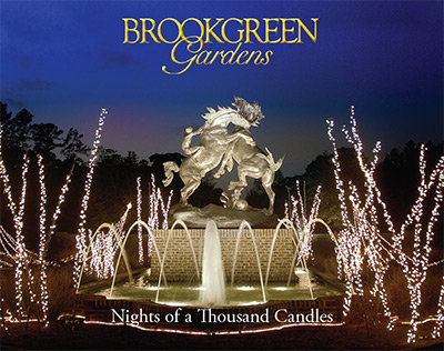 Brookgreen - Nights of a Thousand Candles