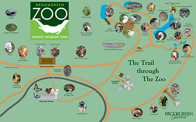 Brookgreen Gardens: The Trail through the Zoo